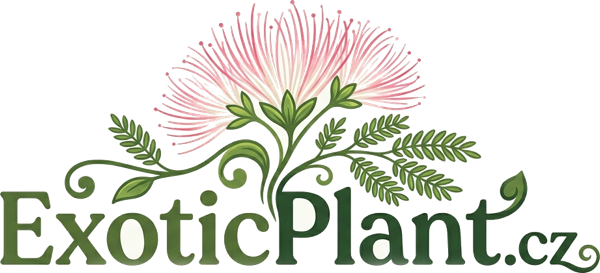 ExoticPlant.cz — exotické rostliny z vlastní zahrady